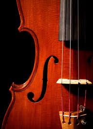 Muse for Life Sandy Springs Atlanta Music Lessons Violin